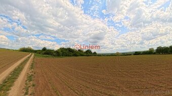 Predaj vinice a pozemku pri Zlatých Moravciach – Dolné Vinic - 3