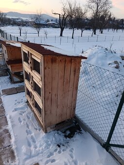 Zajačnik kralikaren - 3