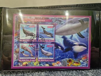 Zberatelsky album s Arsikmi - 3