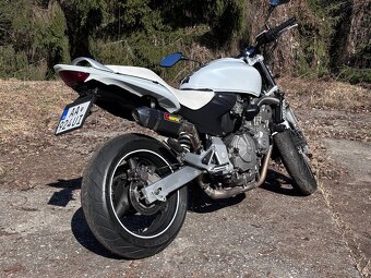 Honda Hornet 600 - 3