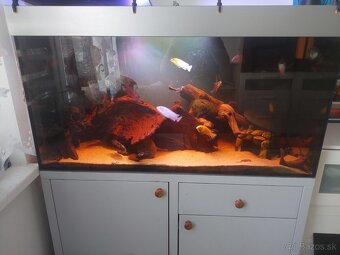 Akvarium+skrinka 360l - 3
