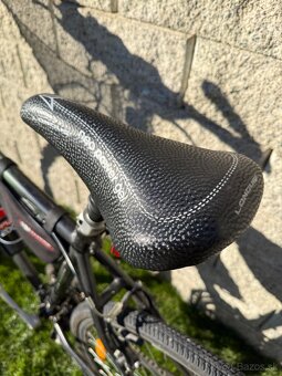 Trekovy bicykel Dema assisi - 3