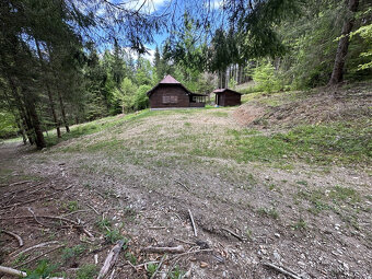 Výrazne znížená cena, chata v lese na predaj Nemecká - 3