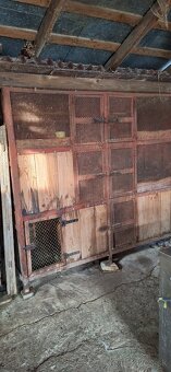 Predam zajačnik. - 3