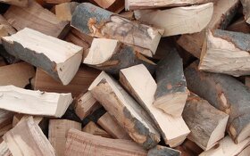 Palivové drevo štiepané rezané - 3
