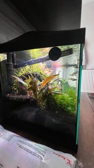 Zabehnuté akvárium 60x30x30 - 3