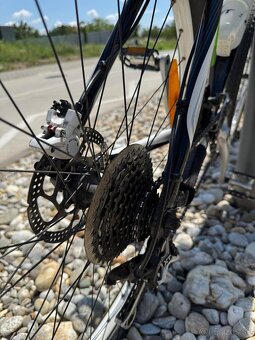 Scott Scale 50 - 3