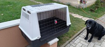 Prepravka pre psa do auta - 3
