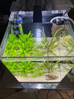 Zabehnuté Dennerle Nano Cube 30 L - 3