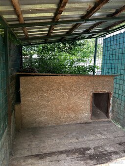 Voliera pre psa - 3