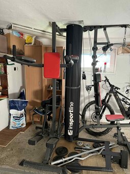 Posilňovacia veža inSPORTline Phanton - 3