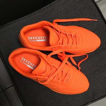 SKECHERS - botasky - 3