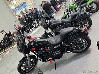 Harley-Davidson FXDL DYNA Low Rider 103cui - 3