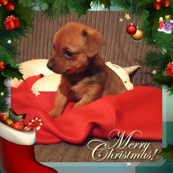 Hľadáme nový domou - 3