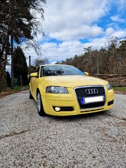 Audi A3 8p - 3