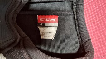 Ccm vesta - 3