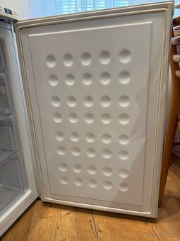 Mraznička LG - 3