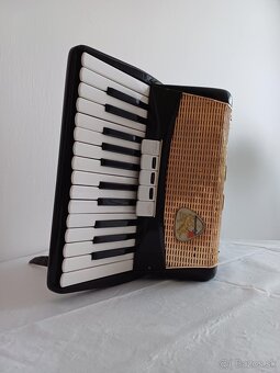 Akordeón - 3