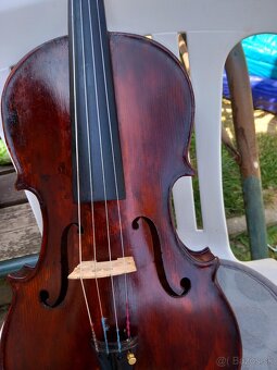 Peqru violu,kompletný set,40,4 cm - 3