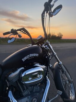 Harley Davidson Sportster XL883 Custom - 3