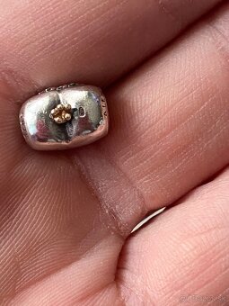 Pandora bicolor srdiečko - 3