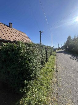 🔧 ZÁHRADNÉ PRÁCE & KOSENIE KROVINOREZOM – LETO 2026 🌿 - 3