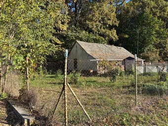 Predám dom pod lesom - 3