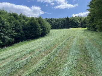 Dvojbubnová kosa 165 - 3