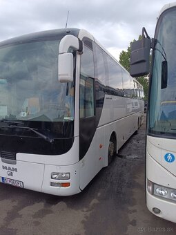 Man lion coach L - 3
