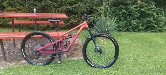 CANYON SPECTRAL AL6 - 3