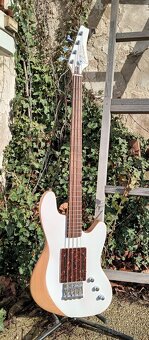 Basgitara - 3