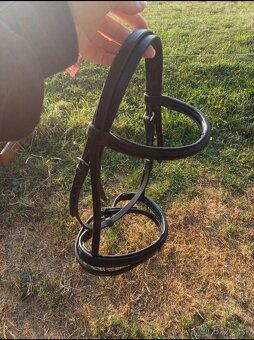 Kentaur, Equiline, F.R.A... - 3