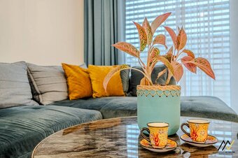 2 IZBOVÝ BYT PREŠOV, ULICA HRUŠKOVÁ - 3