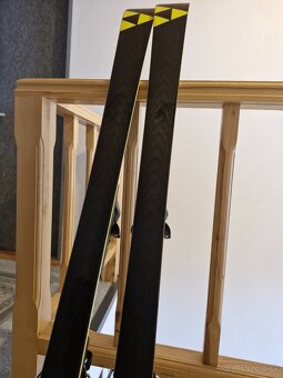 Fischer RC4 World Cup GS 155 cm - 3