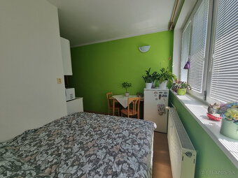 1 IZBOVÝ TEHLOVÝ BYT -BREZOVÁ p.B. - VOĽNÝ +ZN.POSUDOK - 3