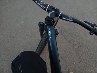 rose dirtjumper - 3