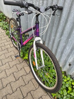 Dámsky horský bicykel DEMA ECCO 1.0 - 3