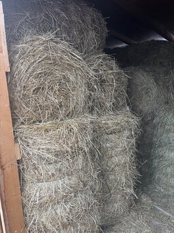 Predám balíkovane seno - 3