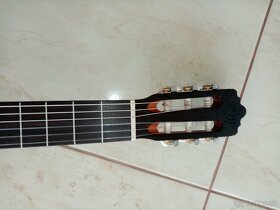 Gitara Santos Martinez - 3