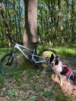 Santa Cruz Bronson CC 27,5 - 3