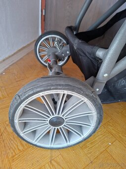Expander Vivo - 3
