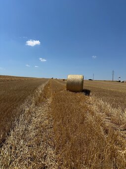 Slama pre ŽV, záhradu a na ďalšie iné využitie - 3