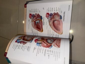 Netterov anatomický atlas 7. Vydanie - 3