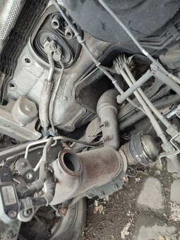 DPF - 3