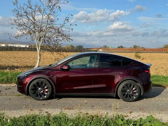 Tesla Model Y 75kWh Performance AWD - 3