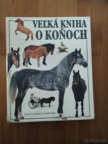Veľká kniha o motocykloch + Veľká kniha o koňoch - - 3