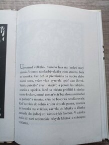 Jorinda a Joringel (Bratia Grimmovci) - 3