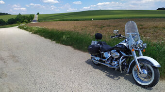 Harley-Davidson FLSTN Softail-Delux - 3