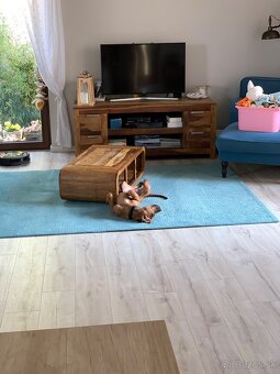 Masivna komoda indicky palisander - 3