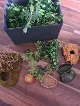 RP Terárium 50,5x30,5x25 - 3